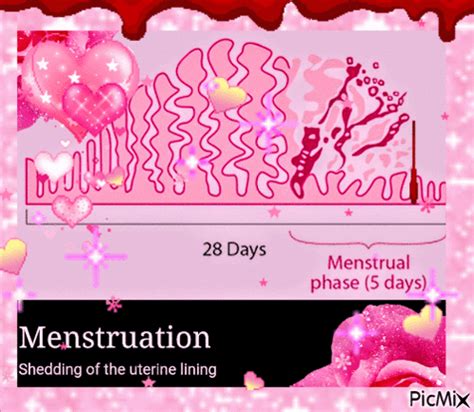 Period Sex Porn GIFs 